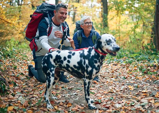 a man and a woman running in the woods with a dog
