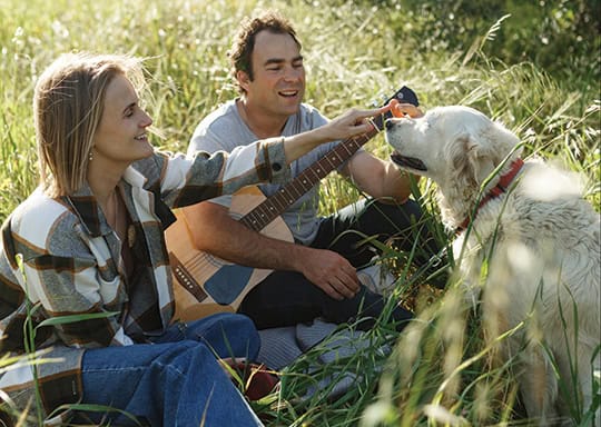 couple sitting in a field with a dog