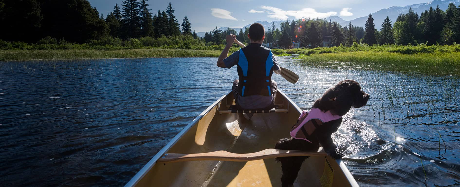 Man paddling a canoe with a dog by his side